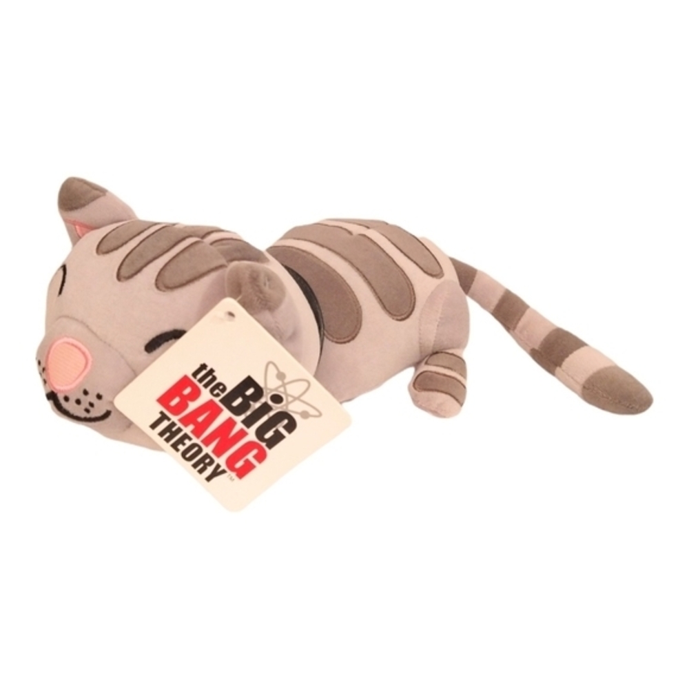 Big Bang Theory Soft Kitty
